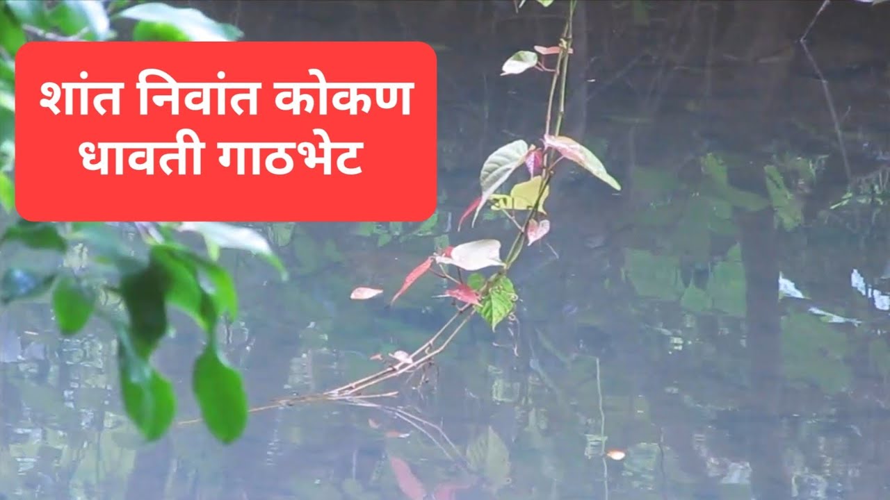 वर्ल्ड कप च्या आठवणी आणि मित्राची गाठभेट