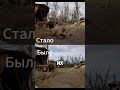 NPC теперь могут собирать чести тел мутантов