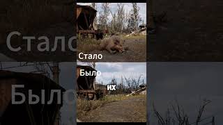 NPC теперь могут собирать чести тел мутантов
