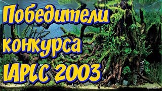 Красивые аквариумы мира! Лучшие работы аквадизайна — The International Aquatic Plants Layout Contest Красивые аквариумы мира! Лучшие работы аквадизайна — The International Aquatic Plants Layout Contest