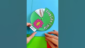 Life cycle of a frog - free downloadable activity