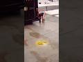 Creative Delivery Over Icy Street