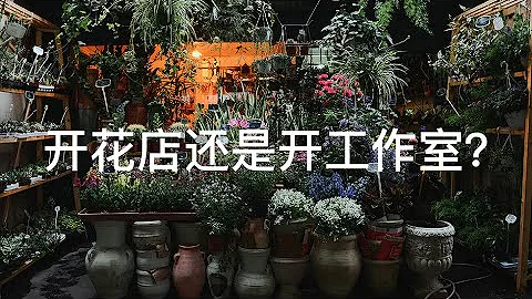 “花店秘密05”到底是开花店还是开工作室？他们的优势、劣势在哪里？我们如何去选择？想开花店的朋友们看起来！ - 天天要闻
