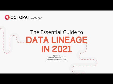 The Essential Guide to Data Lineage in 2021 | Octopai - video from Octopai