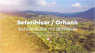 İzmir Seferihisar/Orhanlı da 15.394 m2 2+1 Evi Bulunan Satılık Zeytinlik Resimi