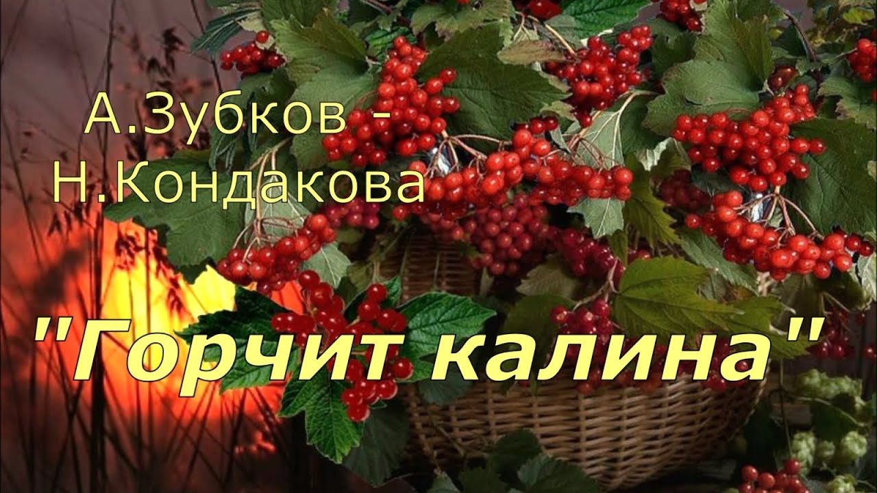 Калина исполняет