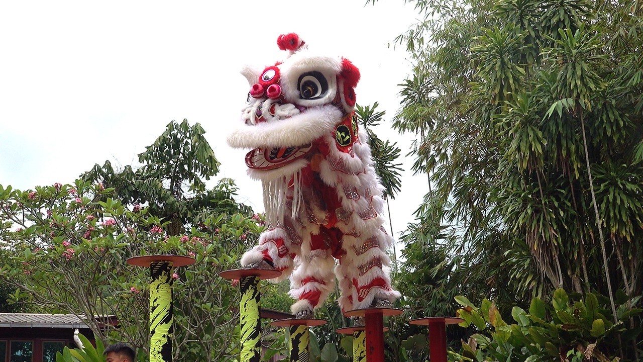 CNY 2026 - Lion Dance and Animal Show at Zoo Negara | 仁威龙狮体育会