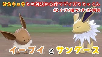 サンダース Youtube