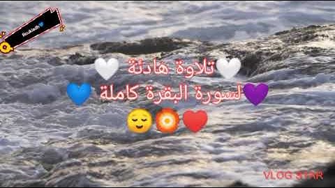 سورة البقرة كاملة .💜.للقارئ الشيخ شيرزاد عبد الرحمان💙تلاوة هادئة تريح الاعصاب🏵️بدون اعلانات🤍