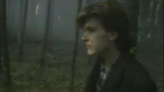 David Sylvian - The Women at the Well