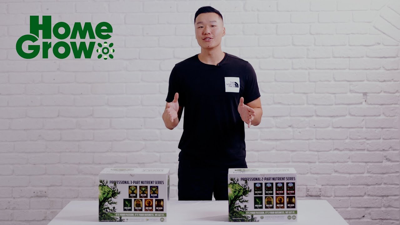 How To Get Big Yields || HomeGrow