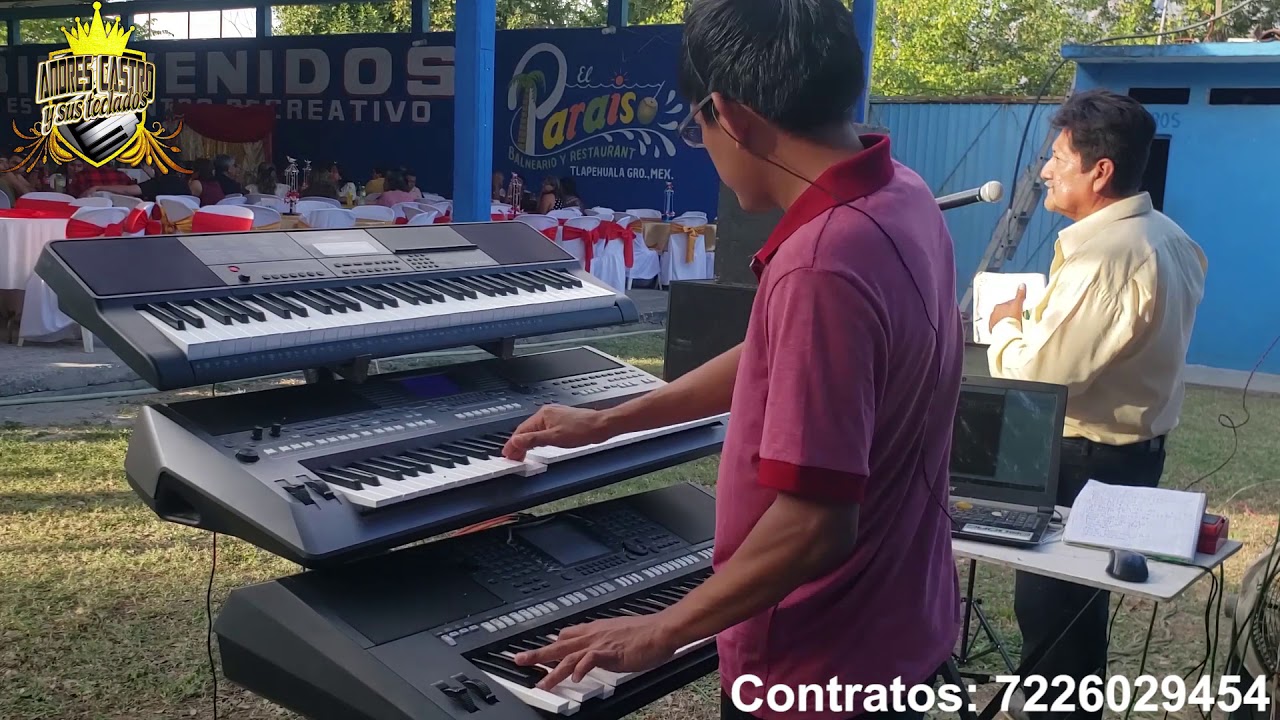 Barriga de cuche en Vivo Tlapehuala