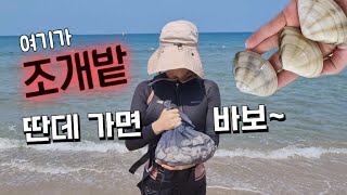 맹방해수욕장, 조개잡이 성지, 그냥 조개밭이에요! (송지호 해수욕장이랑 비교가 안됨), 삼척여행, 여름휴가
