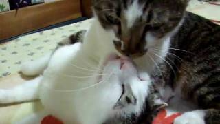 DSCF1595.AVI