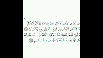 6 - سورة الأنعام ٣٨-٣٩ - محمود خليل الحصري