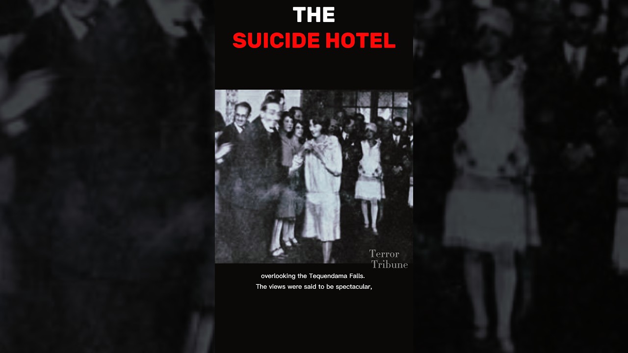 The Suicide Hotel    