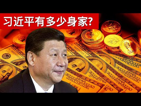 习近平有多少身家?(字幕)/How Rich Is Xi Jinping/王剑每日观察/20210406