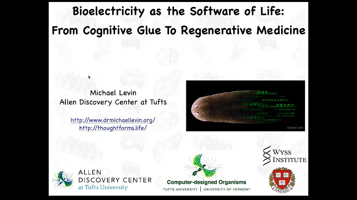 Bioelectricity as the Software of Life: from cognitive glue to regenerative medicine - DayDayNews