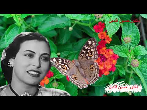 هاتوا القلم والورق للفنانة رجاء عبده كلمات أبو السعود الأبيارى ولحن أبراهيم حسين