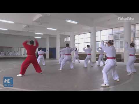 Huashan Fist: a martial art originated from ancient Chinese rock paintings