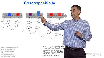 Chaitan Khosla (Stanford) Part 2: Dissecting Polyketide Assembly Lines