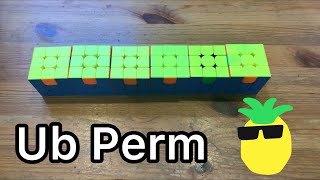 The Evolution Of The Ub Permutation