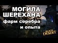 💰 Могила Шерехана - Фарм серебра и опыта в Black Desert (MMORPG - ИГРЫ)