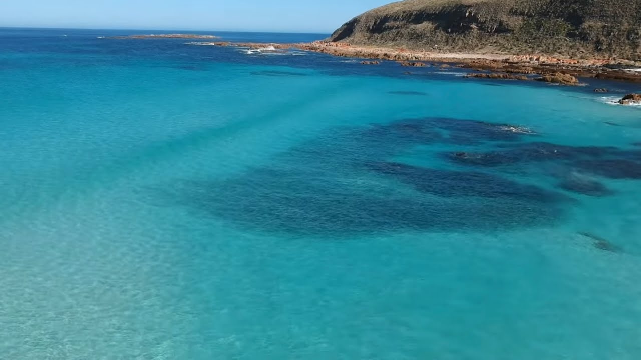 A Salmon a cast! YORKE PENINSULA BEACH FISHING YouTube