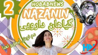 گیاهان دارویی با نازنین  ( نوشیدنی لیمو و نعنا )  ( حباب نیوز )