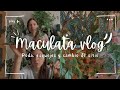 Vlog Begonias maculatas: poda, esquejes, cambio de ubicación y cuidados de las maculatas