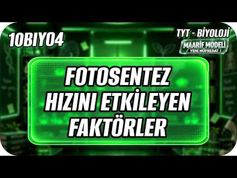 Factors Affecting Photosynthesis Rate | 10BIYO4 #2027