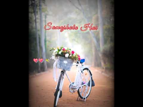 New Love ?? Romantic Song Status //??New Romantic Hindi Song Whatsapp Status #shorts