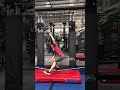 Leg Day Challenge: Master the Pistol Squat! #pistolsquat