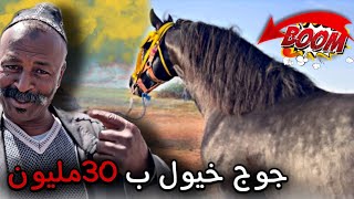 سوق حماسي اليوم بلبلها بدريس وشرا خيول في المستوى . 2خيول ب30 مليون ..😱