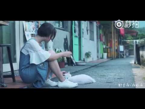 Watch 我一定會愛上你（mv版）--謝春花 on YouTube