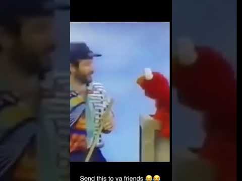 elmo-memes