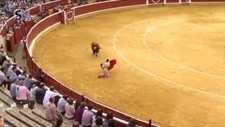 San Saturio 2014 - Novillada con picadores