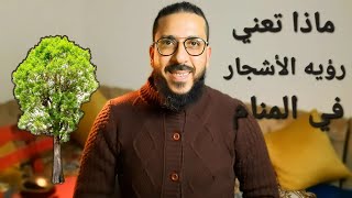 تفسير حلم رؤيه الشجر في المنام #تفسير_الاحلام