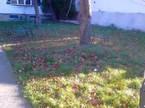 76 Charter Oak St, Wood Ridge, NJ home video tour