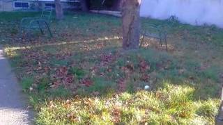 76 Charter Oak St video tour