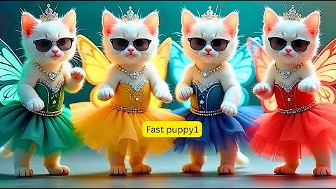 बिल्ली डांस   Cutest Cat video funny dance💃Videos for cats By Meow party dance #funy #danc cat #cat