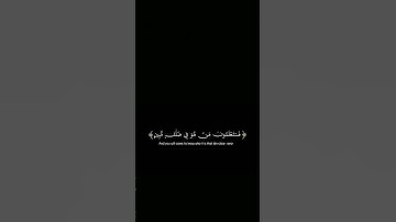 سورة الملك﴾#قران_كريم #المصحف#راحة_نفسية  #اكسبلور #لايك