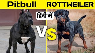 Pitbull vs rottweiler | Pitbull vs rottweiler comparison in hindi | #shorts screenshot 5