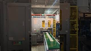 Samfacc high speed IML robot with rotation function. #Samfaccrobot #iml #imlsolution