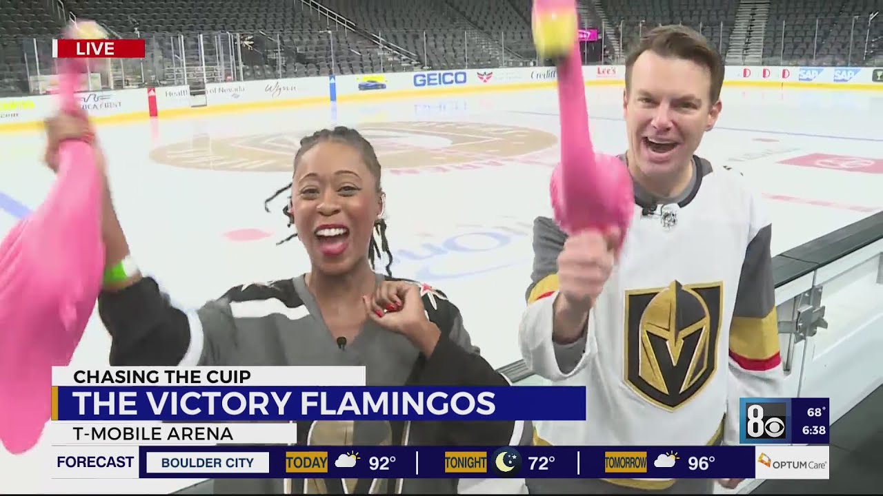 How the flamingo became the Vegas Golden Knights' sign of victory
