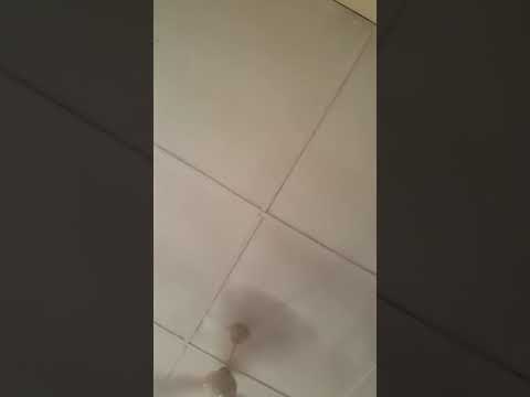 Angalia Umalaya Wa Wasanii Bongo Na Uchafu