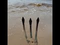 Metal Detector Dangerous finds on the beach!