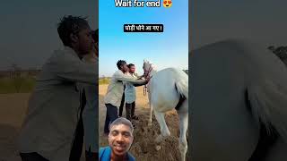 #funny #comedy #reels #shortsvideo #gaon #kisan #khet #nadi #reelsindia #trading #viral#yoytubeshort