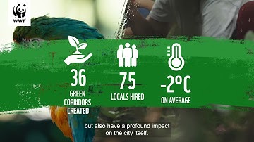 Urban Nature-based Solutions: What are they and why are they so important?
