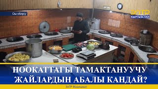 НООКАТТАГЫ ТАМАКТАНУУЧУ ЖАЙЛАРДЫН АБАЛЫ КАНДАЙ?